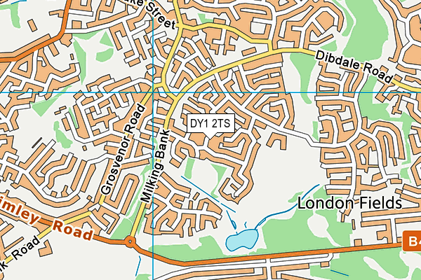 DY1 2TS map - OS VectorMap District (Ordnance Survey)