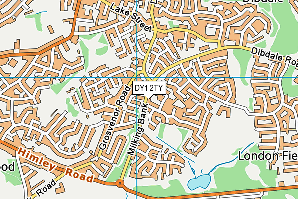 DY1 2TY map - OS VectorMap District (Ordnance Survey)