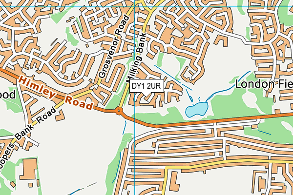 DY1 2UR map - OS VectorMap District (Ordnance Survey)