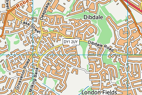 DY1 2UY map - OS VectorMap District (Ordnance Survey)