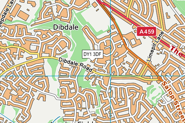 DY1 3DF map - OS VectorMap District (Ordnance Survey)
