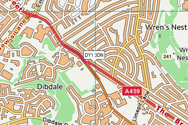 DY1 3DN map - OS VectorMap District (Ordnance Survey)
