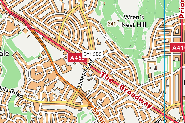 DY1 3DS map - OS VectorMap District (Ordnance Survey)