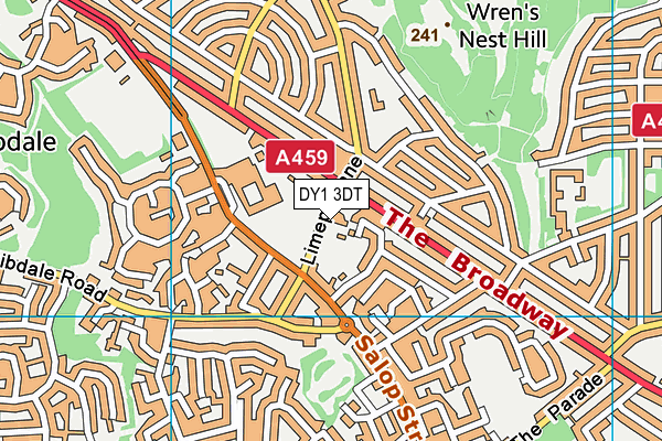 DY1 3DT map - OS VectorMap District (Ordnance Survey)