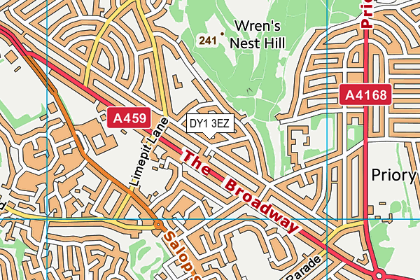 DY1 3EZ map - OS VectorMap District (Ordnance Survey)