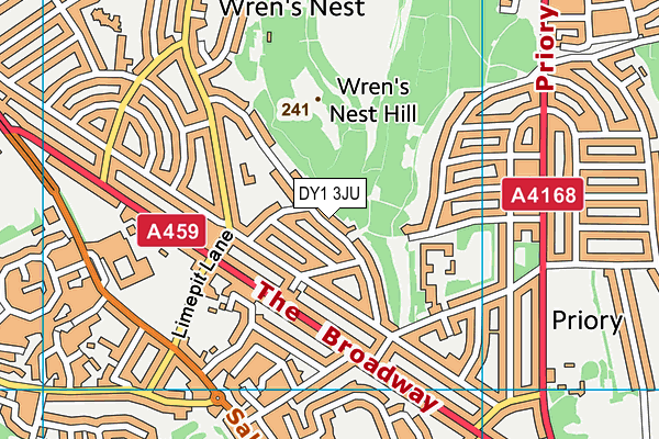 DY1 3JU map - OS VectorMap District (Ordnance Survey)