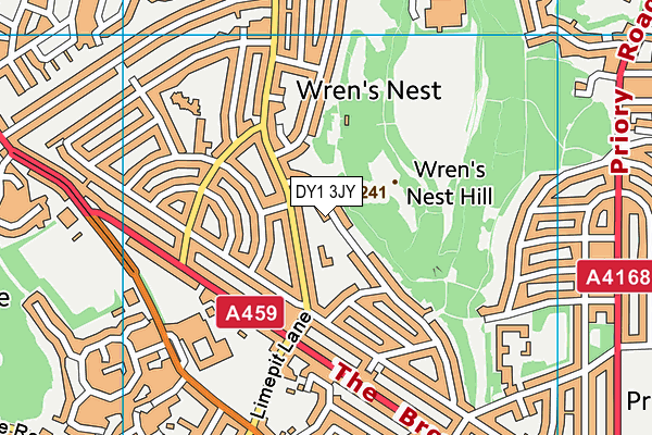 Priory Park Community School map (DY1 3JY) - OS VectorMap District (Ordnance Survey)