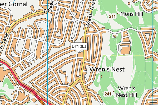 DY1 3LJ map - OS VectorMap District (Ordnance Survey)