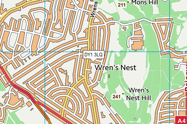 DY1 3LQ map - OS VectorMap District (Ordnance Survey)