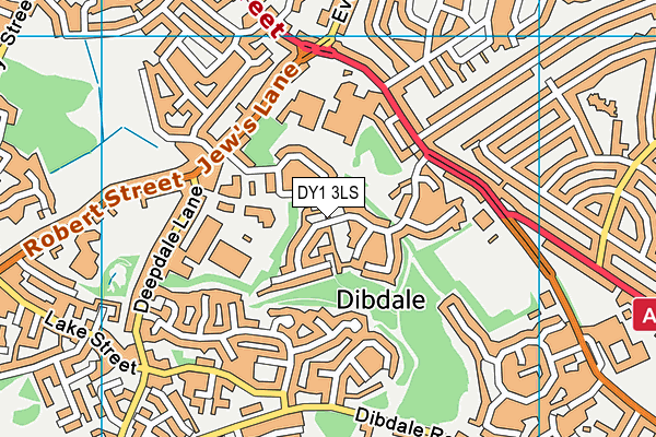 DY1 3LS map - OS VectorMap District (Ordnance Survey)