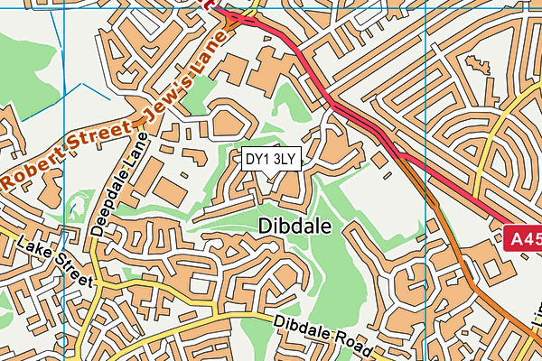 DY1 3LY map - OS VectorMap District (Ordnance Survey)