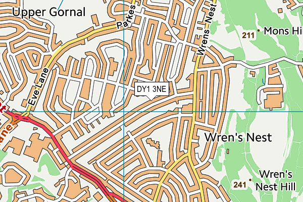 DY1 3NE map - OS VectorMap District (Ordnance Survey)