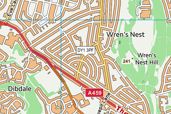 DY1 3PF map - OS VectorMap District (Ordnance Survey)