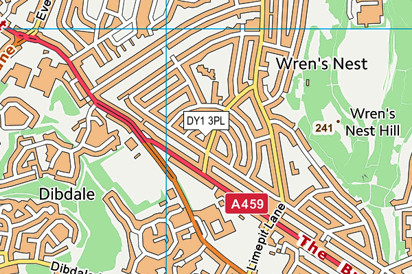 DY1 3PL map - OS VectorMap District (Ordnance Survey)