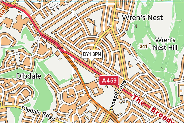 DY1 3PN map - OS VectorMap District (Ordnance Survey)