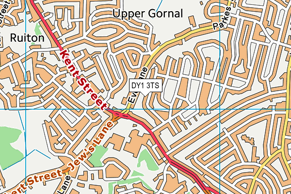 DY1 3TS map - OS VectorMap District (Ordnance Survey)