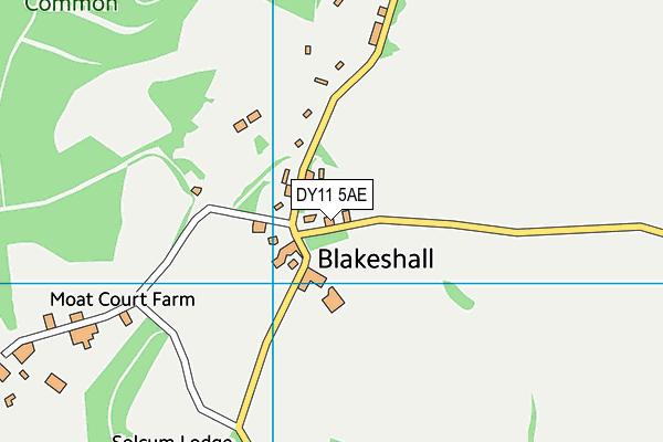 DY11 5AE map - OS VectorMap District (Ordnance Survey)