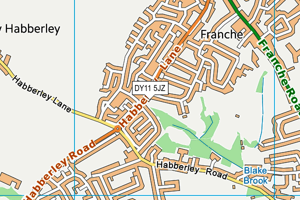 DY11 5JZ map - OS VectorMap District (Ordnance Survey)