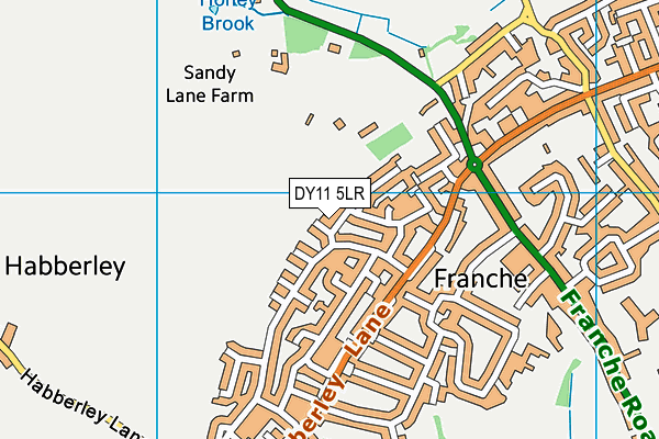 DY11 5LR map - OS VectorMap District (Ordnance Survey)