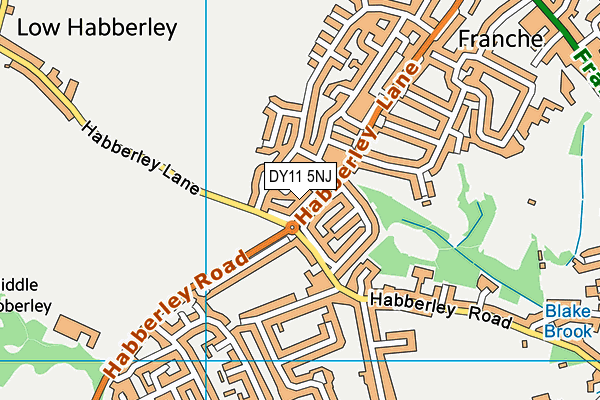 DY11 5NJ map - OS VectorMap District (Ordnance Survey)
