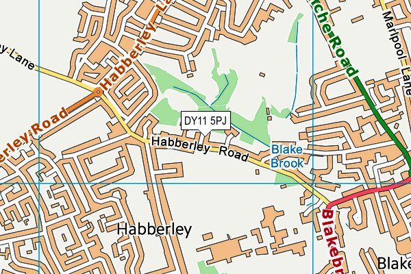 DY11 5PJ map - OS VectorMap District (Ordnance Survey)