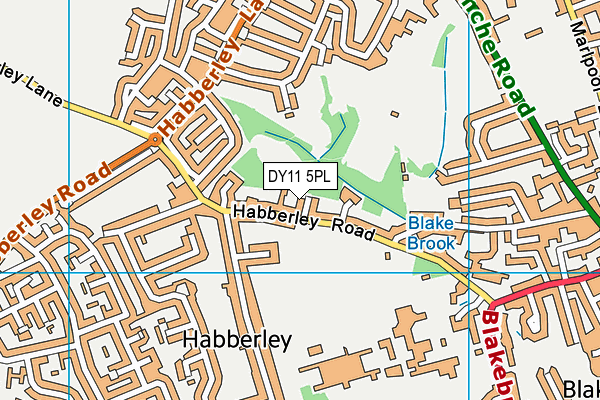 DY11 5PL map - OS VectorMap District (Ordnance Survey)