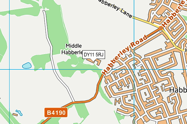 DY11 5RJ map - OS VectorMap District (Ordnance Survey)