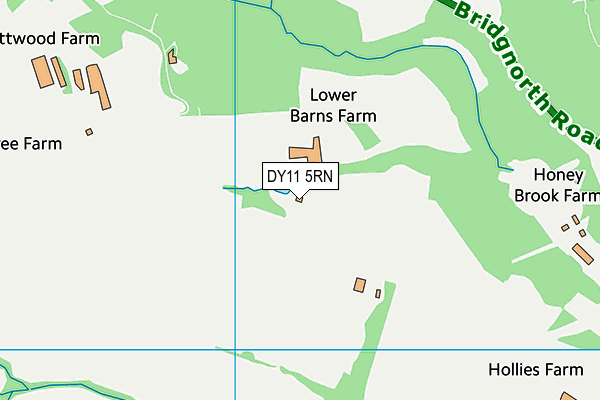 DY11 5RN map - OS VectorMap District (Ordnance Survey)