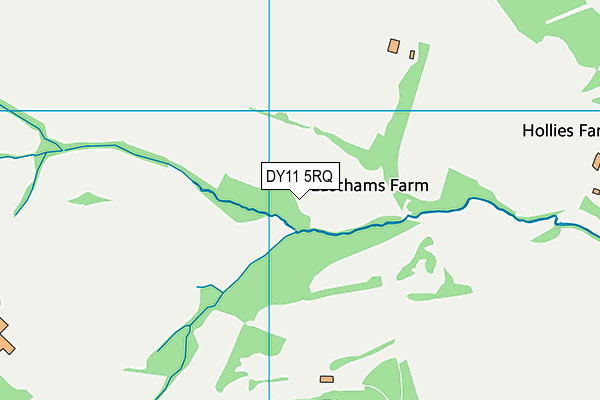 DY11 5RQ map - OS VectorMap District (Ordnance Survey)