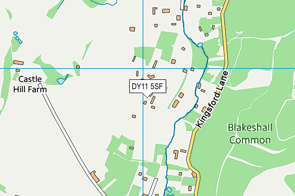 DY11 5SF map - OS VectorMap District (Ordnance Survey)
