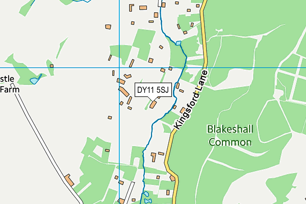 DY11 5SJ map - OS VectorMap District (Ordnance Survey)