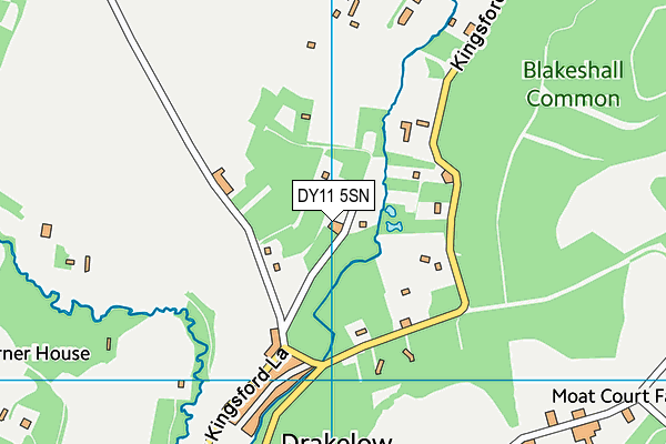DY11 5SN map - OS VectorMap District (Ordnance Survey)