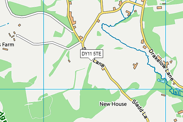 DY11 5TE map - OS VectorMap District (Ordnance Survey)