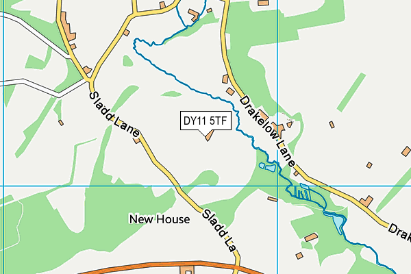 DY11 5TF map - OS VectorMap District (Ordnance Survey)