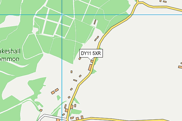 DY11 5XR map - OS VectorMap District (Ordnance Survey)