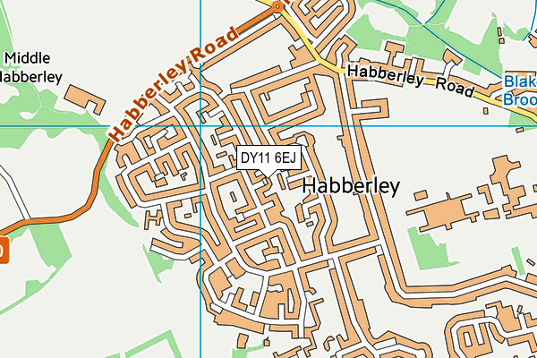 DY11 6EJ map - OS VectorMap District (Ordnance Survey)
