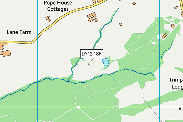 DY12 1SF map - OS VectorMap District (Ordnance Survey)