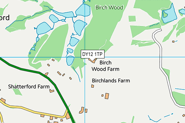 DY12 1TP map - OS VectorMap District (Ordnance Survey)