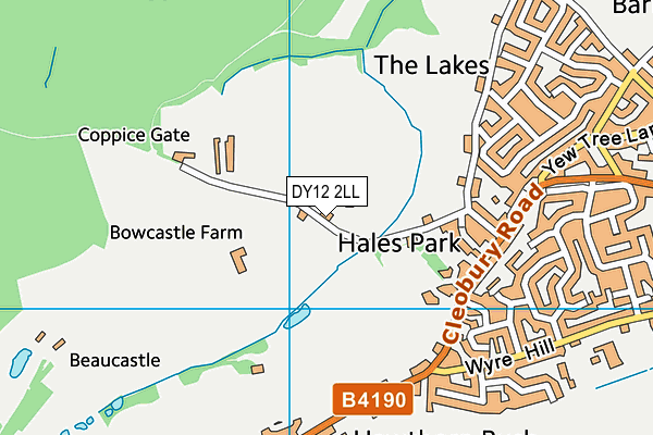 DY12 2LL map - OS VectorMap District (Ordnance Survey)