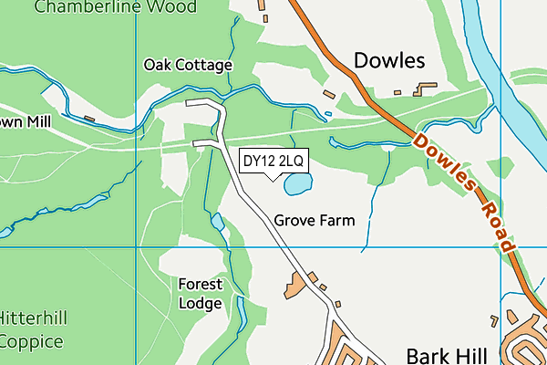 DY12 2LQ map - OS VectorMap District (Ordnance Survey)