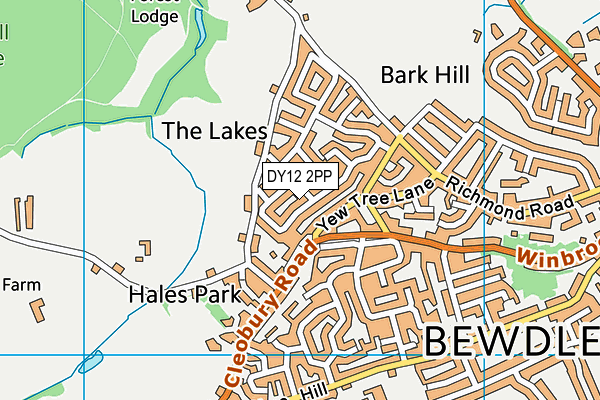 DY12 2PP map - OS VectorMap District (Ordnance Survey)