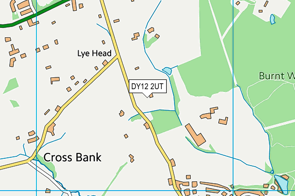 DY12 2UT map - OS VectorMap District (Ordnance Survey)