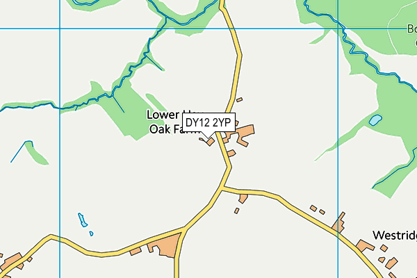DY12 2YP map - OS VectorMap District (Ordnance Survey)