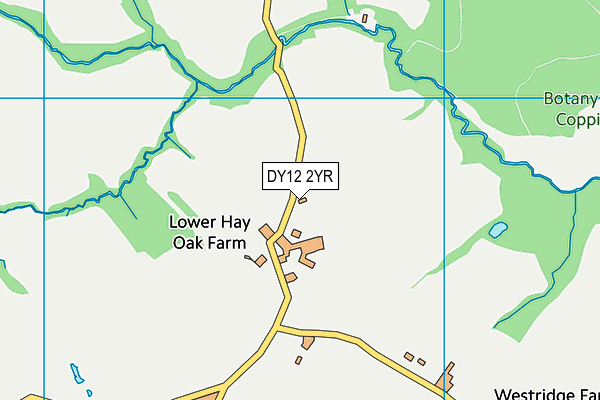 DY12 2YR map - OS VectorMap District (Ordnance Survey)