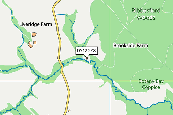 DY12 2YS map - OS VectorMap District (Ordnance Survey)