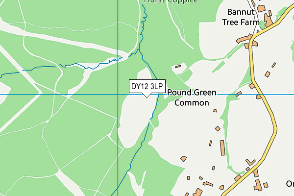 DY12 3LP map - OS VectorMap District (Ordnance Survey)