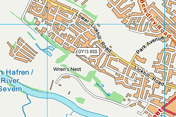 DY13 8SS map - OS VectorMap District (Ordnance Survey)