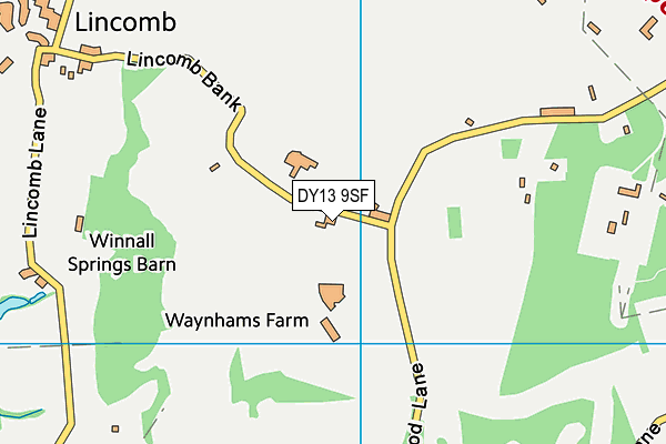 DY13 9SF map - OS VectorMap District (Ordnance Survey)