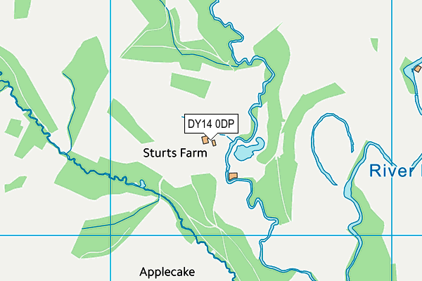 DY14 0DP map - OS VectorMap District (Ordnance Survey)