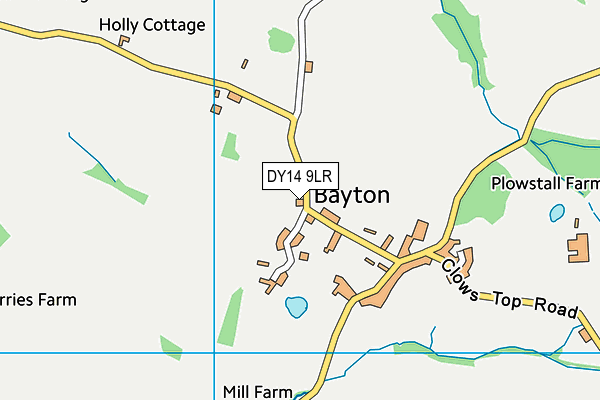 DY14 9LR map - OS VectorMap District (Ordnance Survey)